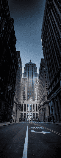 real estate consultant